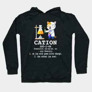 Cation - Funny Chemistry Humor Science Teacher Cat Pun Hoodie